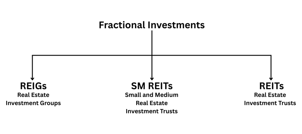 Types of Fractional Investment